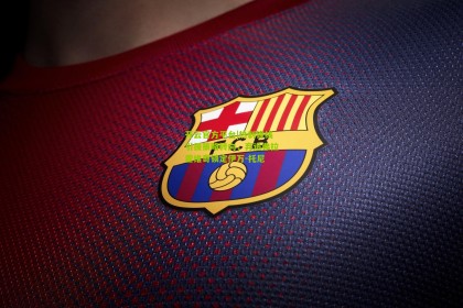 开云官方平台|热刺锋线引援策略转向，弃追弗拉霍维奇锁定伊万-托尼