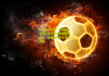 开云官方平台：外媒曝山东泰山重金追逐亚冠冠军教头，韩鹏暂不转正引发猜测