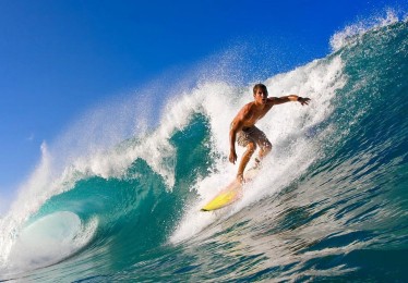 开云官方平台|布伦森俏皮宣言，若执掌纽约市，将赦免窃取哈特手表者