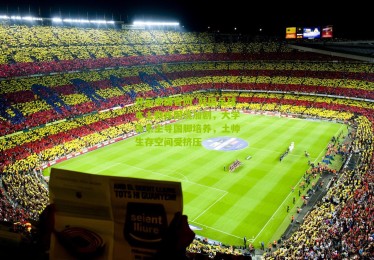 开云中国官网_韩国足球本土教练困境加剧，大学体系主导国脚培养，土帅生存空间受挤压